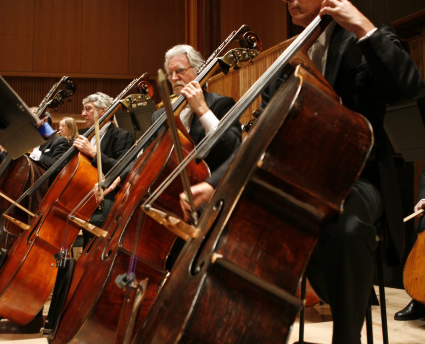 LPO_6©Benjamin Ealovega